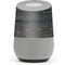 Black Painted Wood Google Home Skin