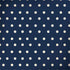 Blue and Cream Polka Dots Notebook 9 Pro 13in (2017) Skin