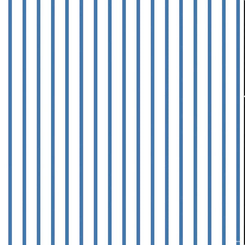 Blue and White Stripes PS4 Console and Controller Bundle Skin