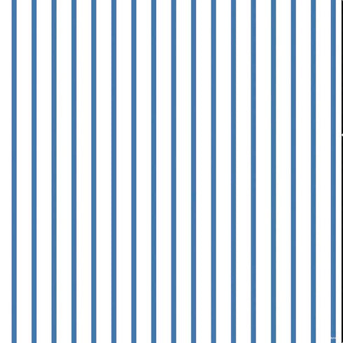 Blue and White Stripes PS4 Console Skin