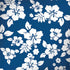 Blue and White Surface Book 2 13.5in Skin