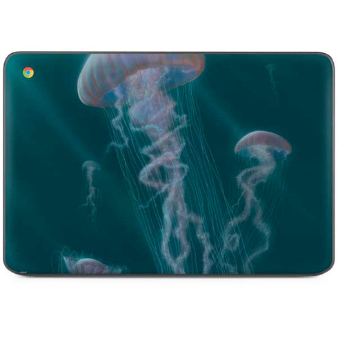 Blue Jellyfish by Vincent Hie HP Chromebook Skin