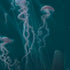 Vincent Hie Blue Jellyfish PS4 Controller Skin