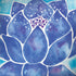 Cat Coq Blue Lotus Legion Y720 Skin