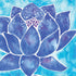 Cat Coq Blue Lotus PS4 Slim Skin