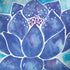 Cat Coq Blue Lotus Surface Book 2 15in Skin