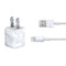 Blue Marble iPhone Charger (5W USB) Skin
