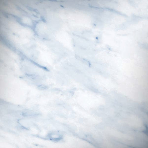 Blue Marble iPhone X Pro Case