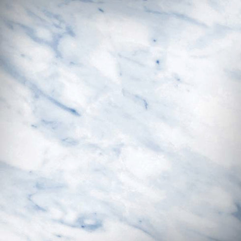 Blue Marble iPhone X Skin