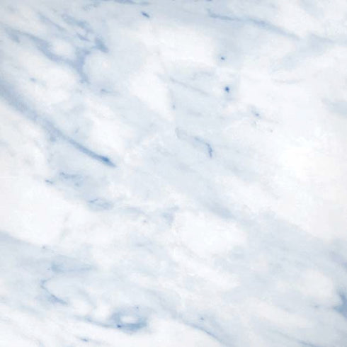 Blue Marble iPhone XS Max Skin