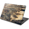 Blue Resin Wood Dell Chromebook Skin