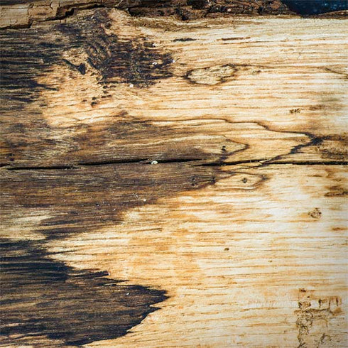 Blue Resin Wood Galaxy Note 8 Skin