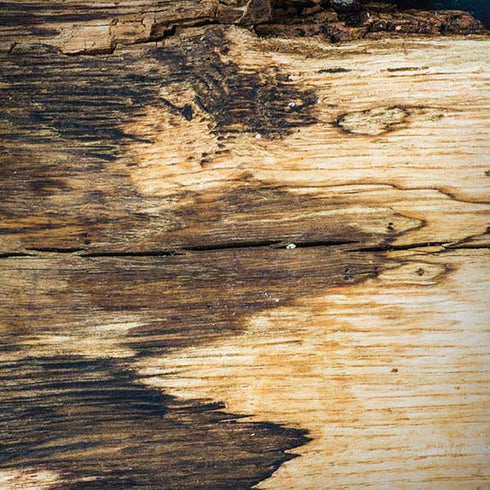 Blue Resin Wood iPhone X Skin