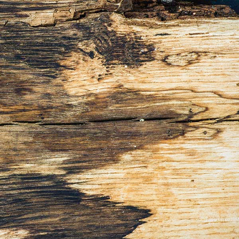 Blue Resin Wood iPhone XS Max Skin