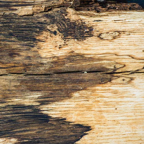 Blue Resin Wood iPhone XS Skin