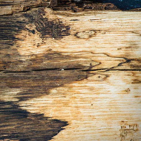 Blue Resin Wood Moto G6 Skin