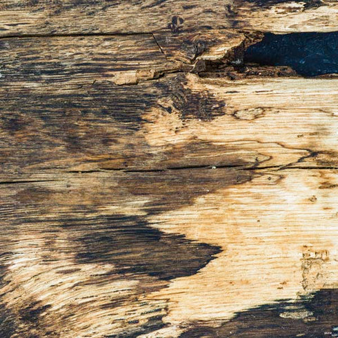 Blue Resin Wood PS4 Pro Bundle Skin