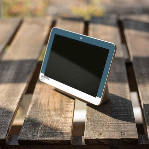 Bluesteel Color Palette Google Home Hub Skin