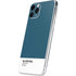 Bluesteel Color Palette iPhone 11 Pro Skin