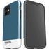 Bluesteel Color Palette iPhone 12 Impact Case