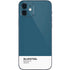 Bluesteel Color Palette iPhone 12 Mini Skin