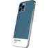 Bluesteel Color Palette iPhone 12 Pro Max Skin