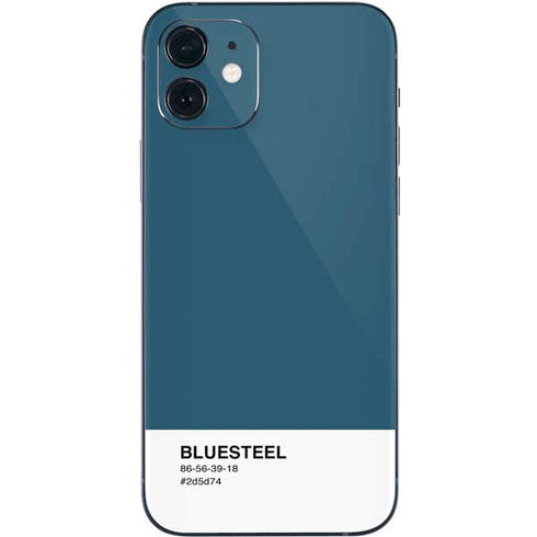 Bluesteel Color Palette iPhone 12 Skin