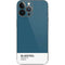 Bluesteel Color Palette iPhone 13 Pro Max Skin