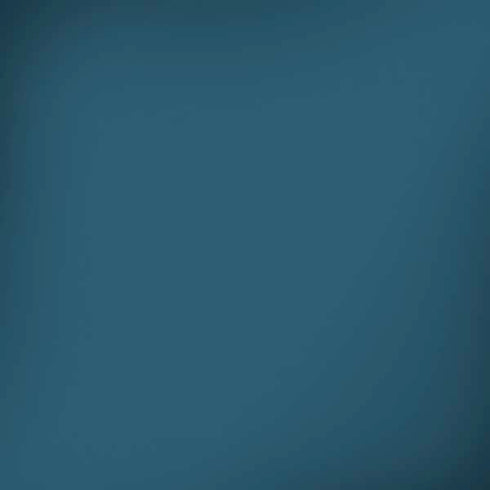 Bluesteel Color Palette iPhone X Skin