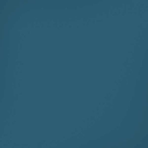 Bluesteel Color Palette iPhone XR Skin