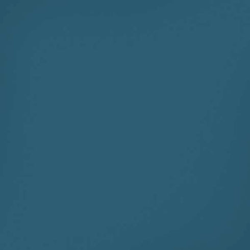 Bluesteel Color Palette iPhone XS Max Skin