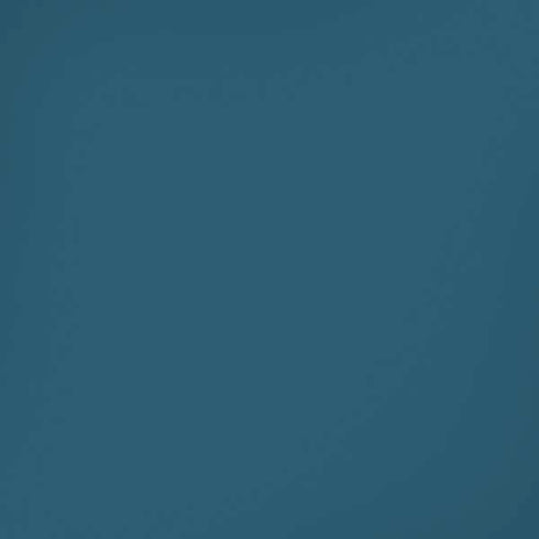 Bluesteel Color Palette iPhone XS Skin