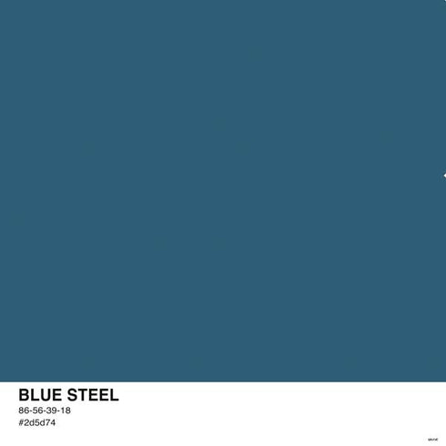 Bluesteel Color Palette PS4 Controller Skin