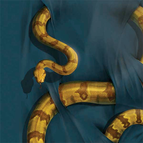 Vincent Hie Boa Constrictor Nintendo 2DS XL (2017) Skin