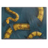 Vincent Hie Boa Constrictor HP Envy Skin
