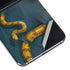 Boa Constrictor by Vincent Hie Galaxy Z Flip5 5G Skin