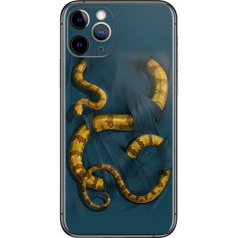 Vincent Hie Boa Constrictor iPhone 11 Pro Skin