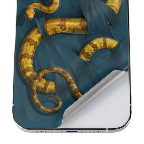 Vincent Hie Boa Constrictor iPhone 12 Pro Skin