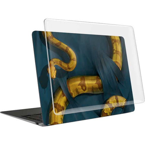 Boa Constrictor by Vincent Hie MacBook Air 13in (2020) Case plus Skin