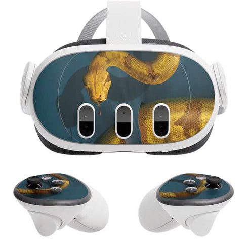 Boa Constrictor by Vincent Hie Meta Quest 3 Skin