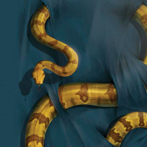 Vincent Hie Boa Constrictor Moto E5 Play Skin