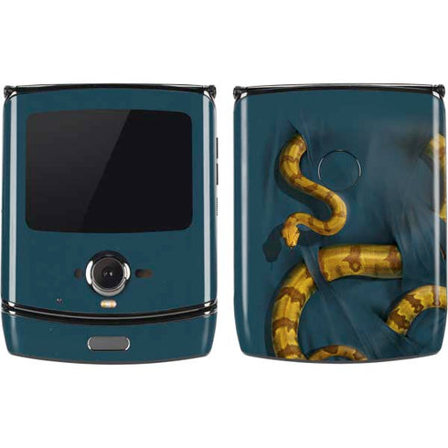 Vincent Hie Boa Constrictor Motorola RAZR Skin
