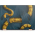 Vincent Hie Boa Constrictor HP Spectre Skin