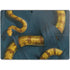 Vincent Hie Boa Constrictor Surface Pro 9 Skin