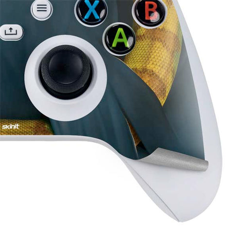 Vincent Hie Boa Constrictor Xbox Series S Bundle Skin