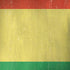 Bolivia Flag Distressed iPhone X Skin
