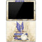Amy Brown Bookworm Fairy Surface Pro 3 Skin