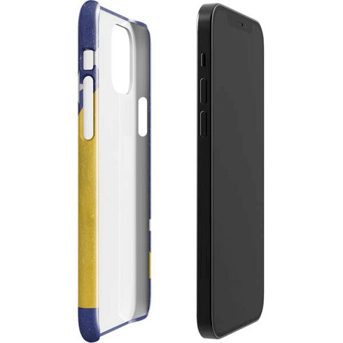 Bosnia and Herzegovina Flag Distressed iPhone 12 Mini Lite Case