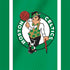NBA Boston Celtics Nintendo 2DS XL (2017) Skin