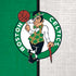 NBA Boston Celtics Canvas iPhone XR Pro Case
